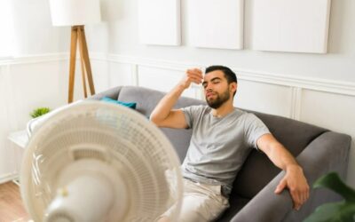 How to Deal With Queensland Humidity